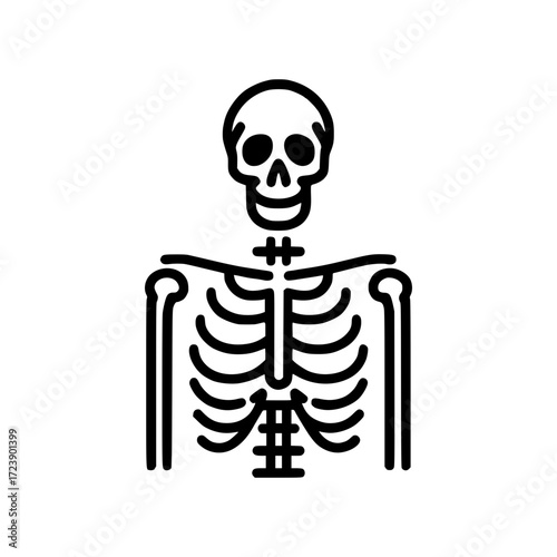 A detailed black and white drawing of a human skeleton. The image presents a simplified view of human skeletal structure