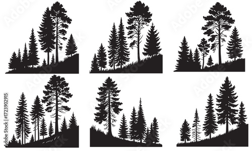 Silhouetted Forest Pine Tree Scenery