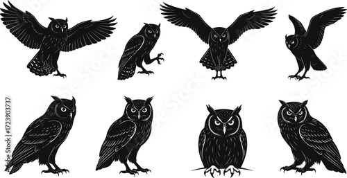 owl, bird, wildlife, animal, silhouette, icon, vector, illustration, black, white, flying, perched, standing, posture, anatomy, feathers, nocturnal, forest, study, design, behavior, raptor