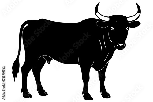 A realistic Bull