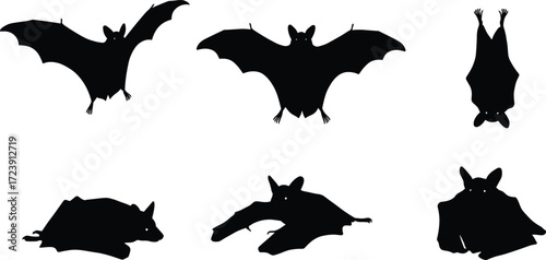 bat, wildlife, animal, mammal, silhouette, icon, vector, illustration, black, white, flying, hanging, crawling, resting, posture, anatomy, wings, nocturnal, study, design, behavior