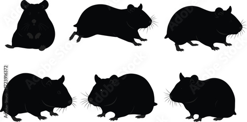 guinea pig, rodent, pet, animal, mammal, silhouette, icon, vector, illustration, black, white, sitting, running, crouching, standing, posture, anatomy, domestic, study, design, behavior