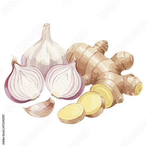 Fresh Garlic Bulbs and Ginger Root with Slices Culinary Ingredients.