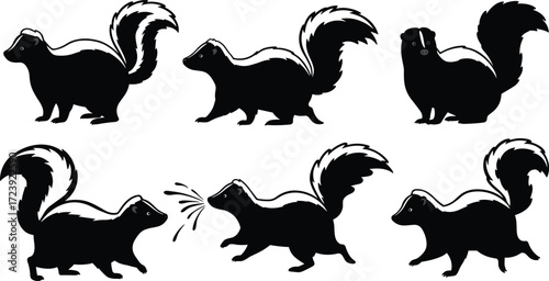 skunk, wildlife, animal, mammal, silhouette, icon, vector, illustration, black, white, walking, standing, spraying, posture, anatomy, forest, nocturnal, nature, study, design, behavior