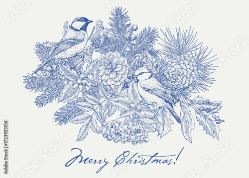 Toile Christmas botanical composition with tit birds fir branches holly mistletoe poinsettia. Vintage Vector illustration. Background for design holiday decor, decoration, card. Blue beige. Hand drawn