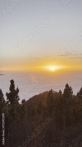 Vertical Shot of Sunset Scenery of Mirador de Chipeque in Canary Islands. Golden Hour with Clouds, Volcano and Tree i Teide National Park in Tenerife.