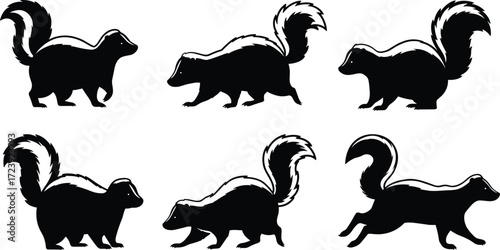 skunk, wildlife, animal, mammal, silhouette, icon, vector, illustration, black, white, walking, standing, motion, posture, anatomy, forest, nocturnal, nature, study, design, behavior