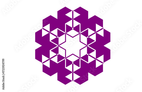 Abstract purple snowflake mandala with six-fold star symmetry and crystalline arms, sacred geometry inspired ornamental design, mystical decorative artwork for winter,yoga, and modern wall art