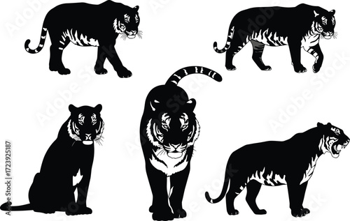 Black tiger silhouette illustration, wild animal vector design, big cat graphic, predator artwork, jungle wildlife symbol, roaring feline drawing, danger
