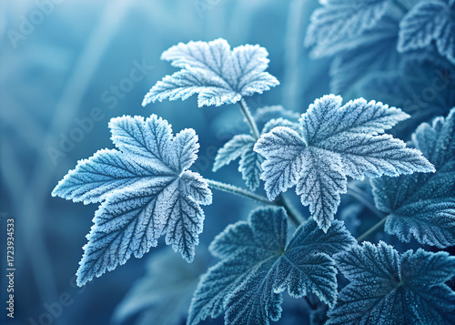 Frost-covered leaves with detailed veins appear against a cool blue background