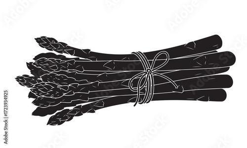 Black Silhouette of Asparagus Spears Tied in a Bundle