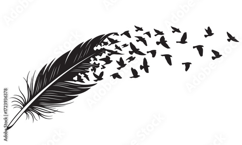 Feather Transforming into a Flock of Flying Birds Silhouette
