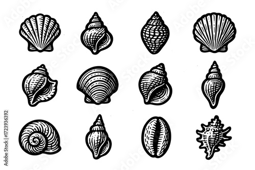 Vintage black and white sea shell collection with hand-drawn details for coastal design