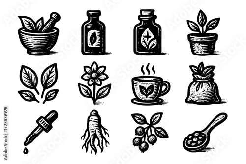 Herbal remedies collection: vintage style botanical icons and natural elements