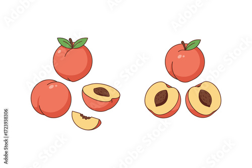 Colorful cartoon peaches with leaves and slices on white background
