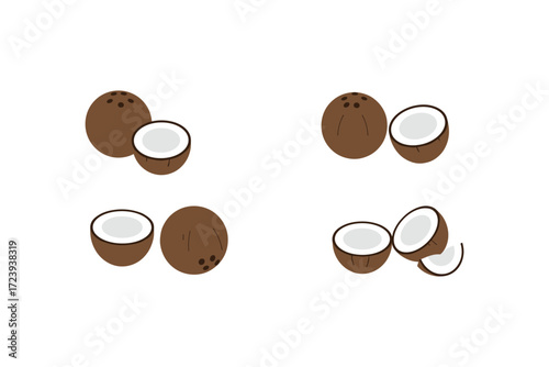 Simple coconut design: four minimalist styles for tropical themes