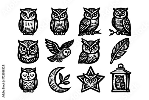 Hand drawn owl and feather collection with moon and lantern in vintage style