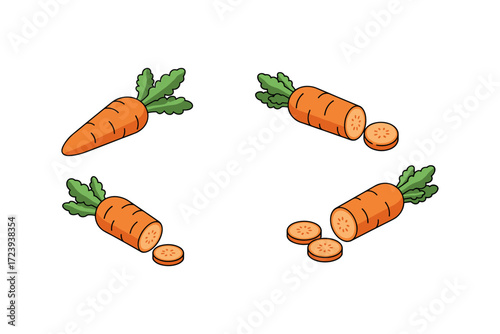 Isometric carrot set with whole and sliced variations on white background