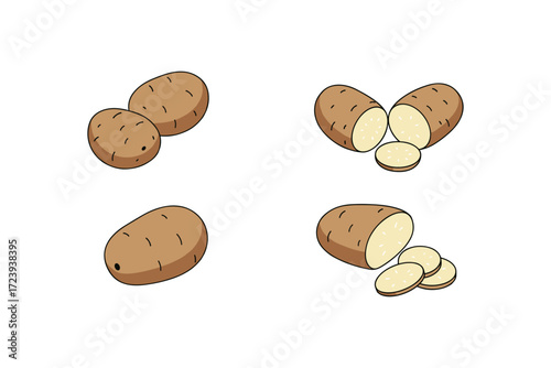 Sliced and whole potatoes in flat style