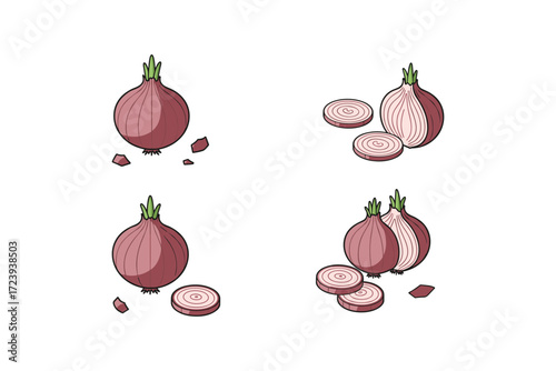 Various stages of a whole and sliced red onion on a white background