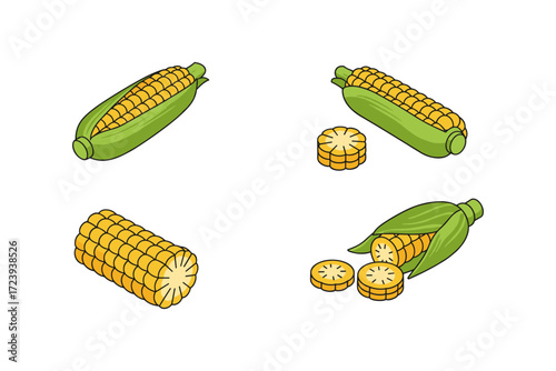 Isometric corn collection: whole, sliced, and cobs in various views