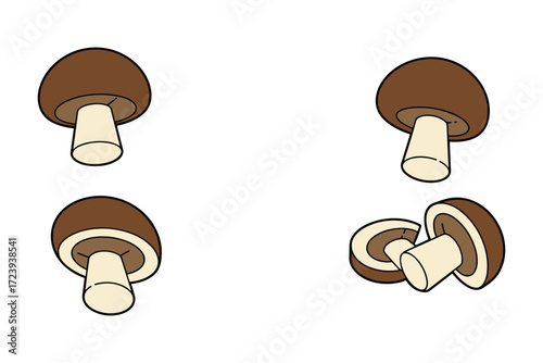 Flat style mushrooms on white background: four angles of whole and sliced brown caps