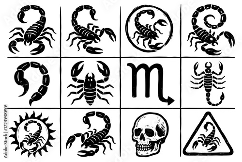 Scorpion icons and zodiac symbol with skull in hand drawn style
