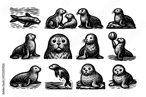Charming sea lion woodcut collection: playful marine life in black and white artistic style
