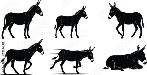 donkey, mule, animal, livestock, mammal, silhouette, icon, vector, illustration, black, white, nature, walking, trotting, running, resting, posture, anatomy, farm, transport, design