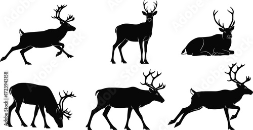 deer, elk, stag, wildlife, mammal, animal, silhouette, antlers, icon, vector, illustration, black, white, nature, grazing, running, resting, posture, anatomy, forest, design