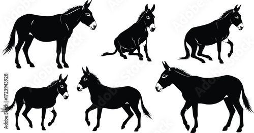 donkey, mule, animal, livestock, mammal, silhouette, icon, vector, illustration, black, white, nature, walking, trotting, sitting, posture, anatomy, farm, transport, study, design