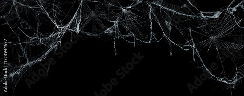 Spooky Cobweb On A Dark Background - Real Creepy Spiderweb - Halloween