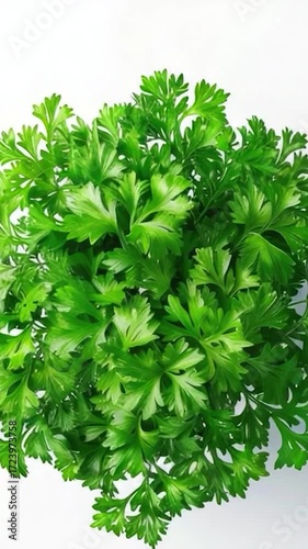 A collection of green leaves arranged on a clean white surface
