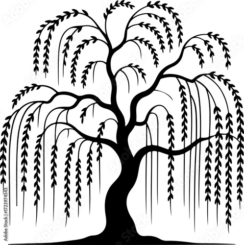 weeping willow tree silhouette Vector Art