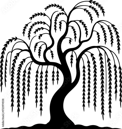weeping willow tree silhouette Vector Art