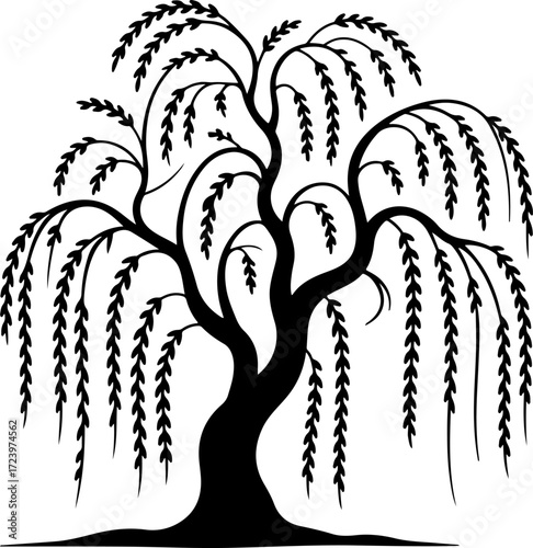 weeping willow tree silhouette Vector Art
