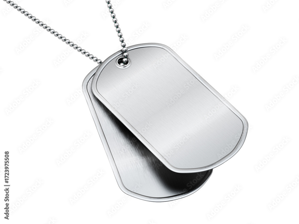 Fototapeta premium Blank soldier dogtags on transparent background. 3D illustration