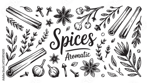 Collection of hand-drawn spices and herbs including cinnamon sticks star anise cloves and various flowers representing culinary art aromatic flavors and natural ingredients