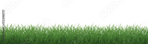 Grass Border With Isolated White Background
