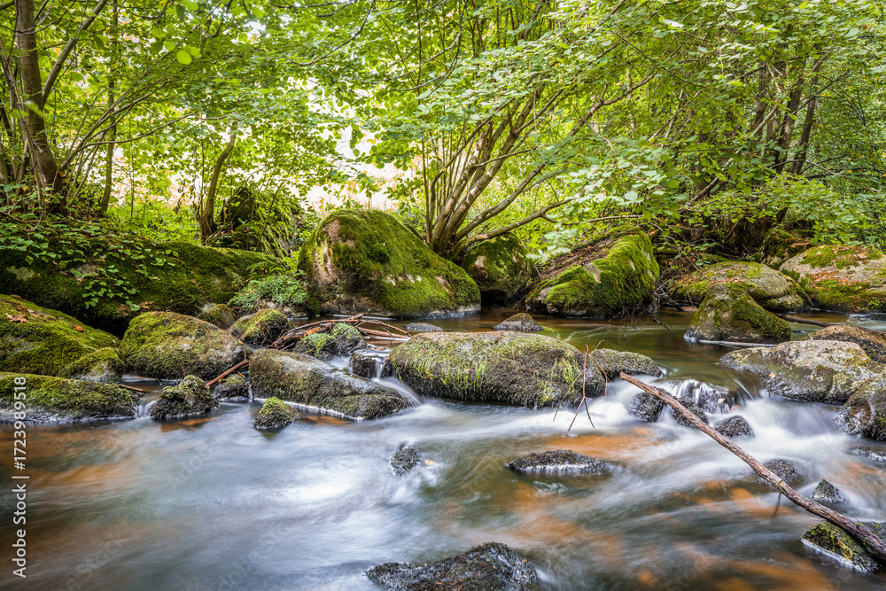Obraz premium Der Höllbach Fluss im Naturschutzgebiet Höllbachtal bei dem Rundwanderweg in Rettenbach bei Falkenstein in Bayern, Deutschland