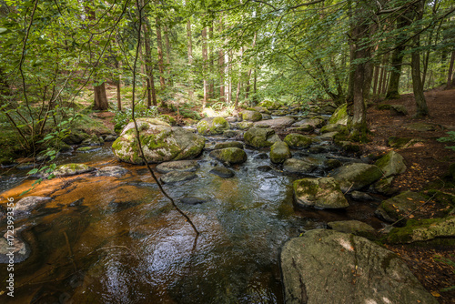 Wallpaper Mural Der Höllbach Fluss im Naturschutzgebiet Höllbachtal bei dem Rundwanderweg in Rettenbach bei Falkenstein in Bayern, Deutschland Torontodigital.ca