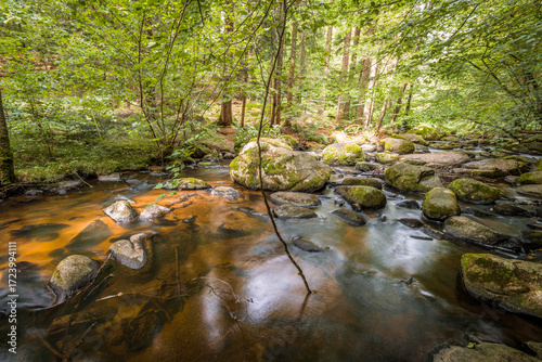 Der Höllbach Fluss im Naturschutzgebiet Höllbachtal bei dem Rundwanderweg in Rettenbach bei Falkenstein in Bayern, Deutschland