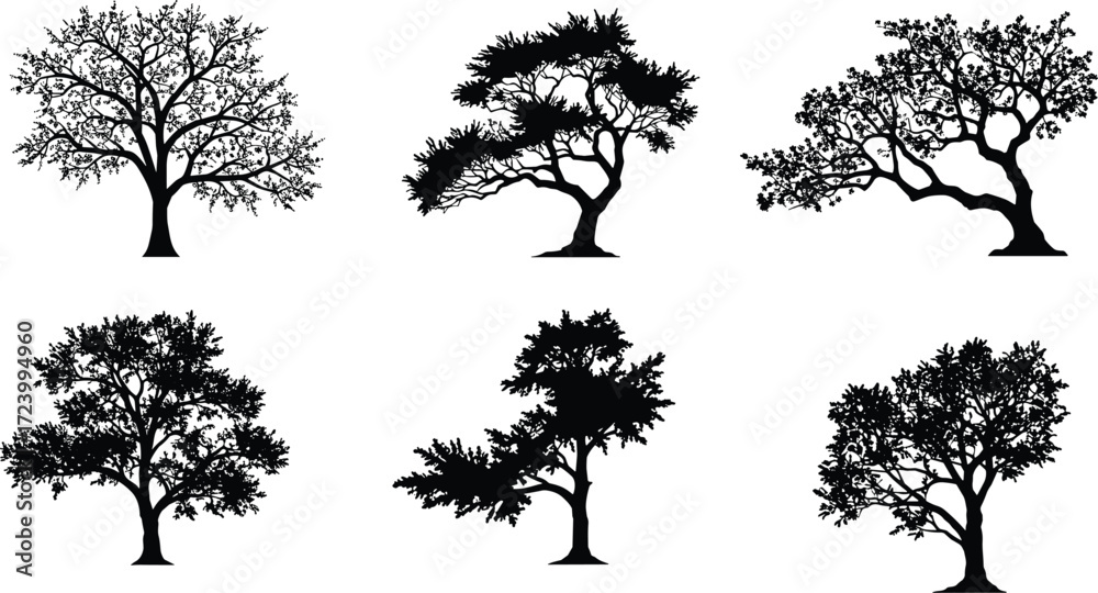 custom made wallpaper toronto digitalBlack silhouette vector illustration of six different tree shapes with unique branching patterns, natural forest design elements for landscape artwork