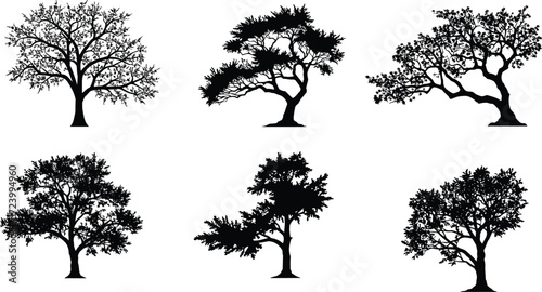Black silhouette vector illustration of six different tree shapes with unique branching patterns, natural forest design elements for landscape artwork