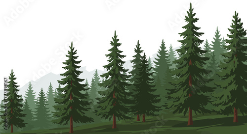 Evergreen Forest Landscape with Mountain Backdrop and Green Ground.