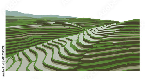 Rice Terraces Illustration with Mountain Backdrop and Green Fields.