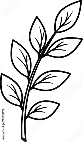 Vector branch with leaves botanical illustration simple silhouette design