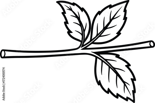 Vector branch with leaves in black outline silhouette design