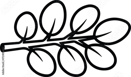 Vector Eucalyptus branch leaves minimal botanical black and white silhouette design