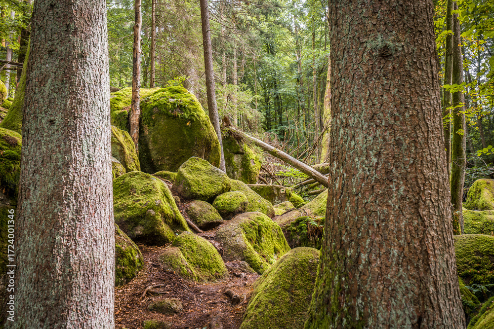 Naklejka premium Megalith Steine im Höllbachtal im Naturschutzgebiet bei dem Rundwanderweg in Rettenbach bei Falkenstein in Bayern, Deutschland